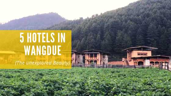 5 Hotels in Wangdue (The unexplored Beauty)