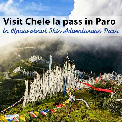 Visit Chele La pass in Paro to Know about This Adventurous Pass